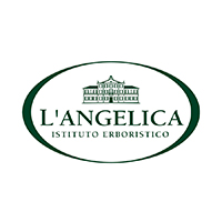 L´angelica